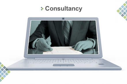 IT Consultancy